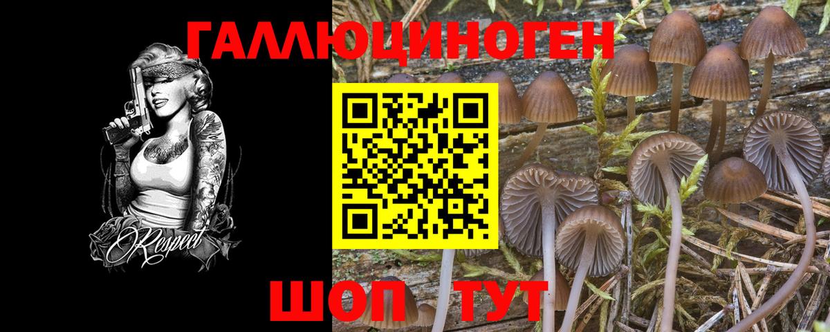 Галлюциногенные грибы MAGIC MUSHROOMS Сургут