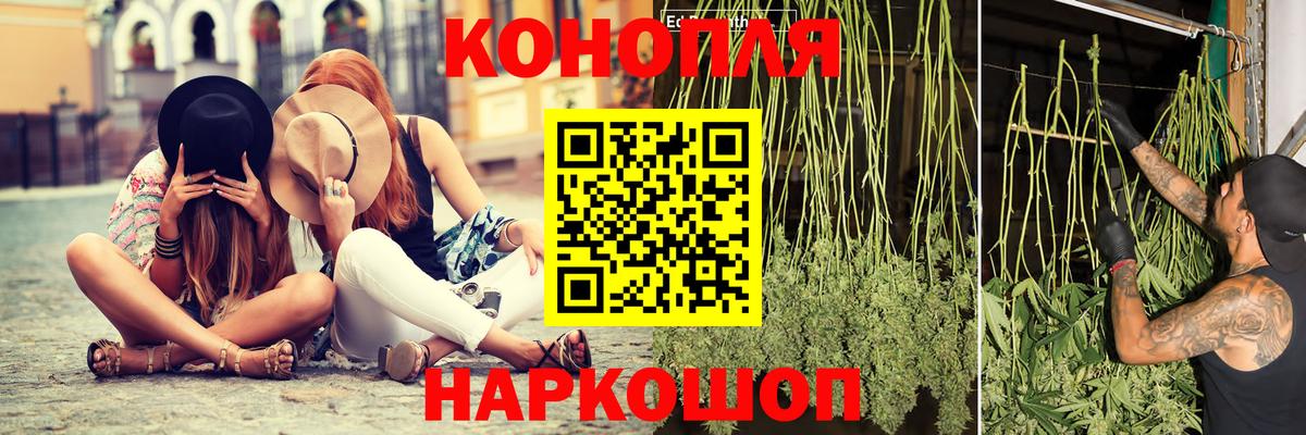 Марихуана конопля Сургут